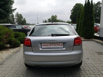 Audi A3 8P Hatchback 3d 1.9 TDI 105KM 2007 Audi A3 1.9 TDI 105KM Klima Elektryka Po wymianie, zdjęcie 6