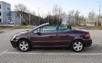 Peugeot 307 I 2004 Peugeot 307 2,0 (138KM) Bezwypadkowy 2.0 Benzyna 138KM, zdjęcie 1