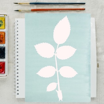 Инструменты Практический материал для цианотипии своими руками