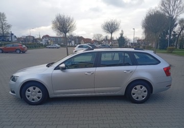 Skoda Octavia III Kombi Facelifting 1.6 TDI 90KM 2017 Skoda Octavia Zakupiony w Polsce - bezwypadkowy- przebieg 108.000 km - 1,6, zdjęcie 10