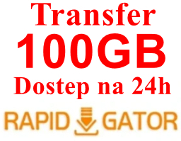 RAPIDGATOR.NET RG.TO 24H KONTO PREMIUM ORYGINALNE LIMIT 100GB