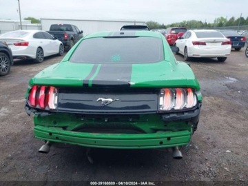 Ford Mustang VI 2019 Ford Mustang 2019r, Ecoboost, 2.3L 2.3 Benzyna 310KM, zdjęcie 5