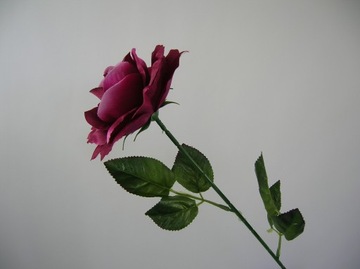 RMR ROSE МАЛЕНЬКАЯ ВЕТКА РОЗ