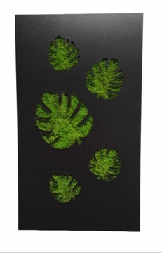 OBRAZ liść monstera mech chrobotek 55cm kwiatki ozdoba podświetlana baterie