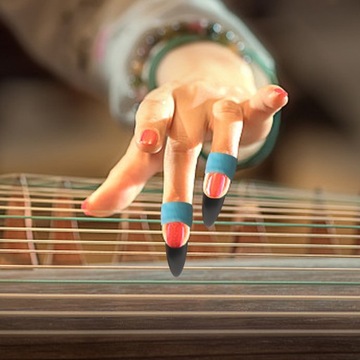 ГВОЗДОРОЧКИ GUZHENG 8 ШТ.
