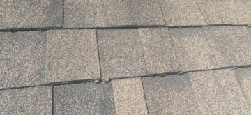 ANTY MECH - профессиональное средство для удаления водорослей, мхов и лишайников 1 л