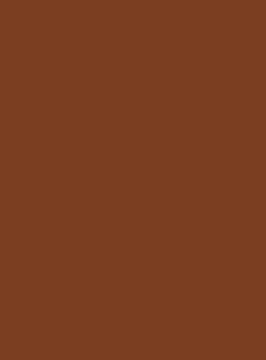 Brystol A3 170g/m2 Happy Color czekoladowy