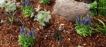 Wokas Mulch FINE BARK для мульчирования 20л SMART