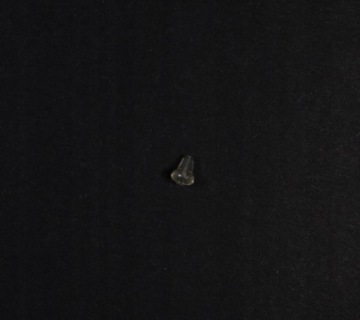 Стопор для крючков - 15 шт. - Коричневый - ПОДКАРП