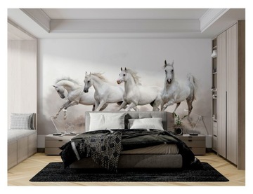 Fototapeta Tapeta Konie Koń Jeździectwo 268x178cm