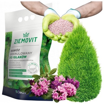 ZIEMOVIT Nawóz do iglaków, roślin kwaśnolubnych: rododendronów, azali 1 kg