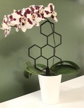 ОПОРА ЛЕСТНИЦА ПЕРГОЛА МЕДОЛАЗ ЦВЕТЫ