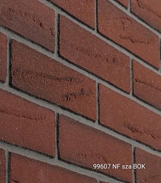 PŁYTKI ELASTOLITH KLINKIER ELASTYCZNY COLORADO