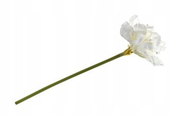 Amarylis biały biel piękny jak żywy 64 cm gałązka white