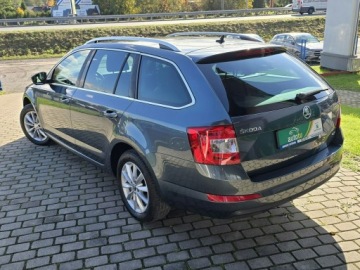 Skoda Octavia III Scout 2.0 TDI 184KM 2016 Škoda Octavia Skoda Octavia Bezwypadkowy + serwis, zdjęcie 4