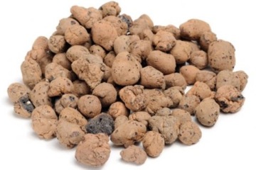 САДОВОДСТВО LCA ДЛЯ ЛЕСА В СТЕКЛЯННО-ДРЕНАЖНОМ ОСНОВАНИИ