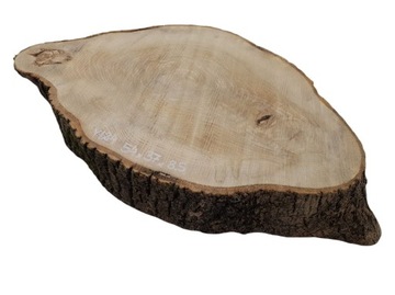 Срез ясеня 54х37см, разные размеры, дерево