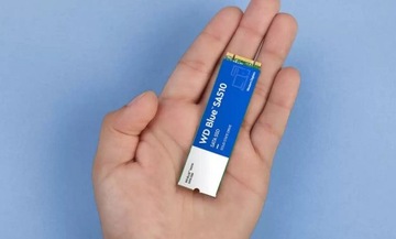 Western Digital Blue 1 ТБ SA510 M2 2280 WDS100T3B0B