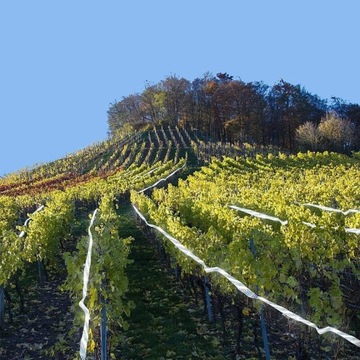 Отпугиватель птиц, лента отпугивающая птиц для голубей, воронов, 45 м