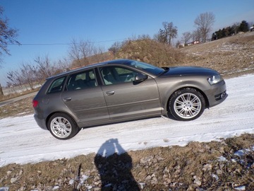 Audi A3 8P Hatchback 3d 1.6 TDI 105KM 2011 AUDI A3 1.6 TDI Z NIEMIEC ZAMIANA ZAREJESTROWANA, zdjęcie 3