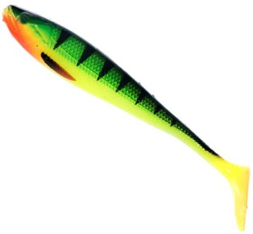 GUMA Jaxon INTENSA DOMINATOR TG-INA 5 cm kolor G
