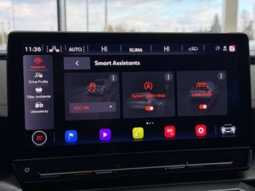 Cupra Formentor Crossover 2.5 TSI 390KM 2022 Cupra Formentor 4Drive VZ5 DSG 1 wlasciciel Salon Polska FV 23 gw dos, zdjęcie 30