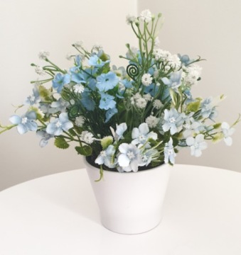 МАЦЕЙКА МАСЕЙКА ЦВЕТЫ В КЕРАМИЧЕСКОМ ГОРШКЕ