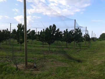 ЗАЩИТНАЯ СЕТЬ ОТ ПТИЦ ДЛЯ ПТИЦ И САДОВ ДЛЯ ПТИЦ, ГЛАДКАЯ 27х27мм