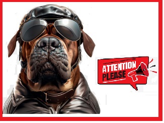 Индикаторы направления универсальный карбон 2 шт мотоцикл Kawasaki Suzuki Honda KTM