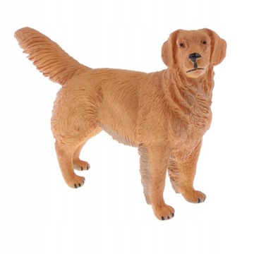 1 Golden Retriever