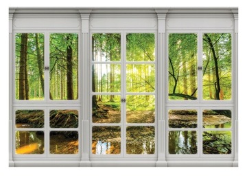 Fototapeta OKNO 3D Widok Z Okna Las Natura 208x146