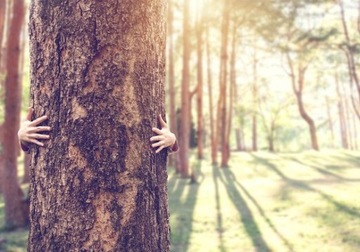 Oli-Natura Бесцветный воск для деревянной мебели 125мл