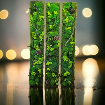 Панно из живого мха, экзотический зеленый, стена из мха 130 х 20 см, размер 3D