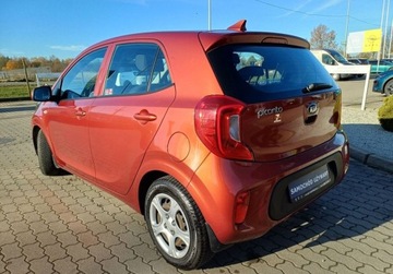 Kia Picanto III Hatchback 5d 1.2 DOHC 84KM 2019 Kia Picanto 206 1.2 GT Line 84 KM 1.2 Benzyna 84KM, zdjęcie 3