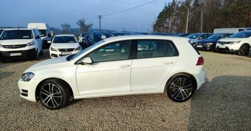 Volkswagen Golf VII Hatchback 3d 2.0 TDI-CR DPF 150KM 2013 Volkswagen Golf 7 VII 2.0 TDI 150 kM Klima Navi Czujniki Grzane Fotele Gwa, zdjęcie 12