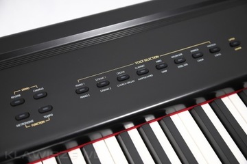 Artesia PA-88H + ДЕРЕВЯННАЯ ПОДСТАВКА ДЛЯ ЦИФРОВОГО ПИАНИНО