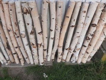 Палочки, украшения из веток березы, длина 100 см, 1 шт.