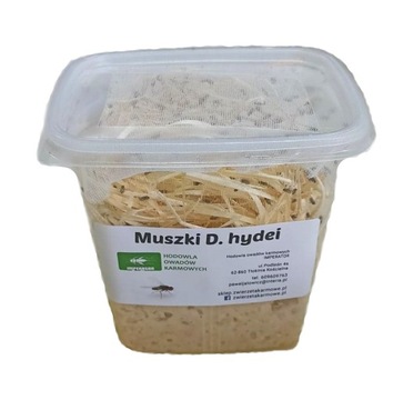 Плодовые мушки Drosophila hydei нелетающие 200 шт.