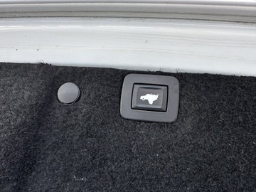 Opel Insignia I Country Tourer 2.0 CDTI Ecotec 170KM 2016 Opel Insignia OPC COSMO 2.0 CDTI 170 KM Navi Alu19, zdjęcie 27