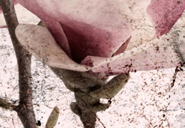 ДЕРЕВЯННАЯ РЕСТОРАННАЯ ЭКРАН b-C-0389-z-c_sj