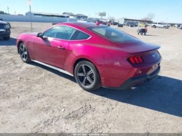 Ford Mustang VI 2025 Ford Mustang Ecoboost Fastback 2025 2.3 Benzyna 315KM, zdjęcie 3