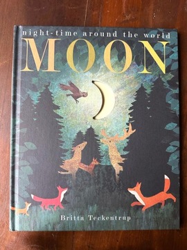 Moon (2017) Patricia Hegarty