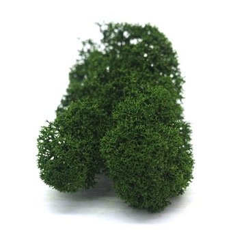 Финский мох 500г.