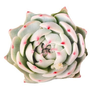 pluszowa poduszka 50cm 20 cali Rośliny Czerwo