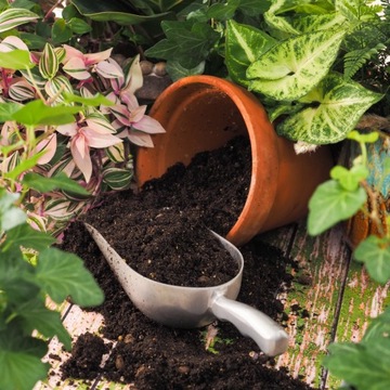 Почвенный субстрат для ЗЕЛЕНЫХ растений, смесь MIX