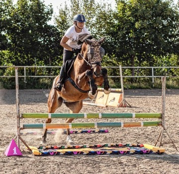Лошадь с препятствиями HorseMania + 3 шеста, выдвижная 2 в 1 ПЕРСОНАЛИЗАЦИЯ