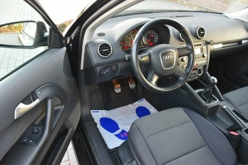 Audi A3 8P Hatchback 3d 1.6 102KM 2008 Audi A3 1.6MPi 102KM Manual 2008r. lift Climatroni, zdjęcie 10