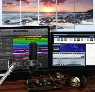 Вокальный микрофон Reloop sPodcaster Go, USB-кабель