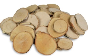 Ломтики березы, сухие, декоративные, бохо