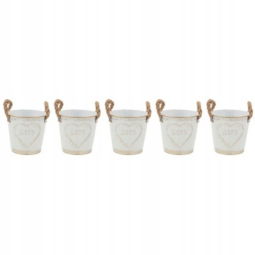Flowerpot Vintage Vase Farmhouse 5 Pieces